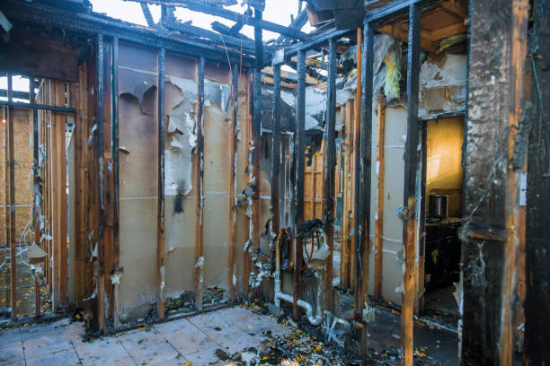 Professional Smoke Damage Removal technician working in Land O' Lakes, FL